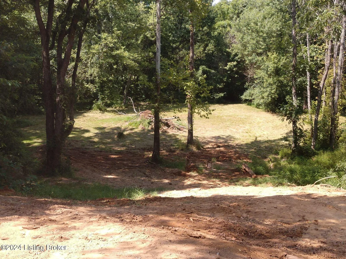 67 Ricky Dr - Main photo