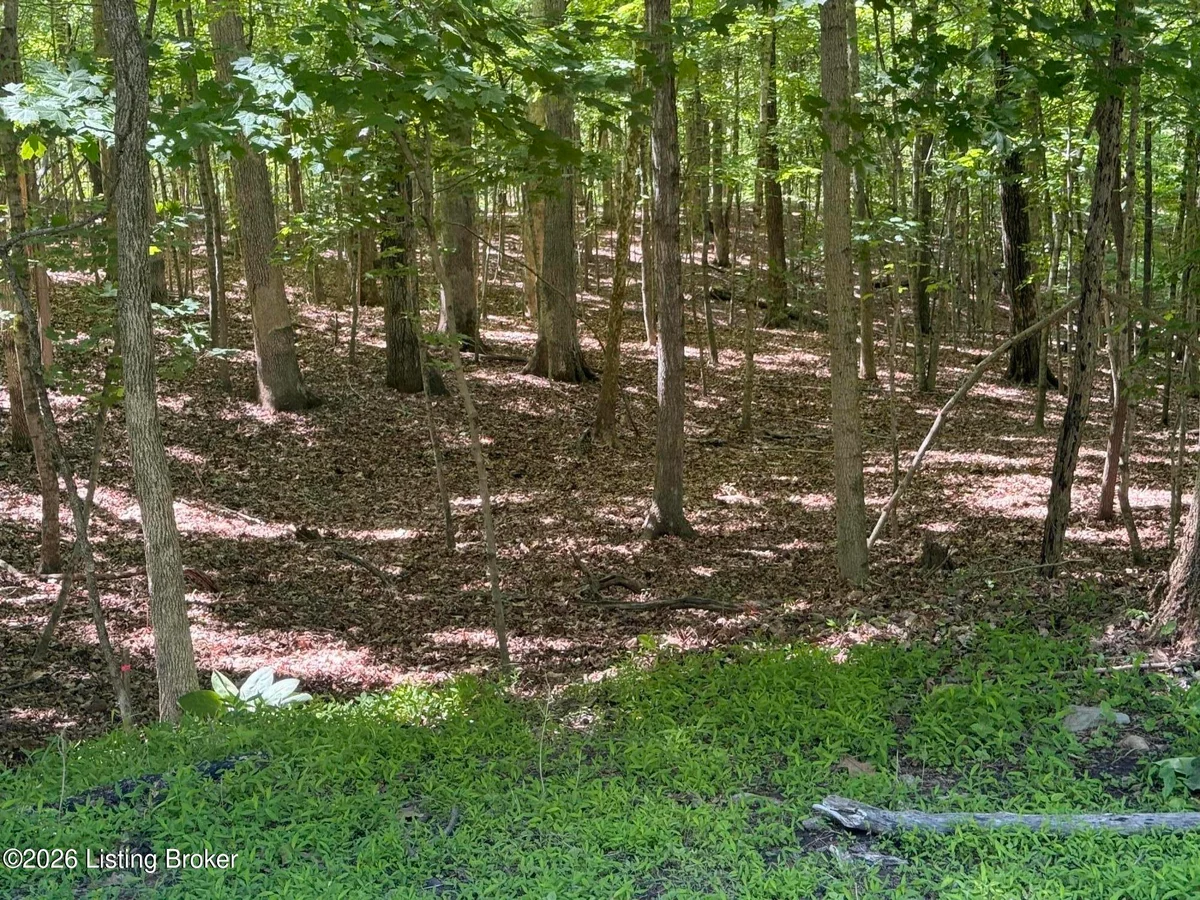 Lot 569 Raspberry Ct - Main photo